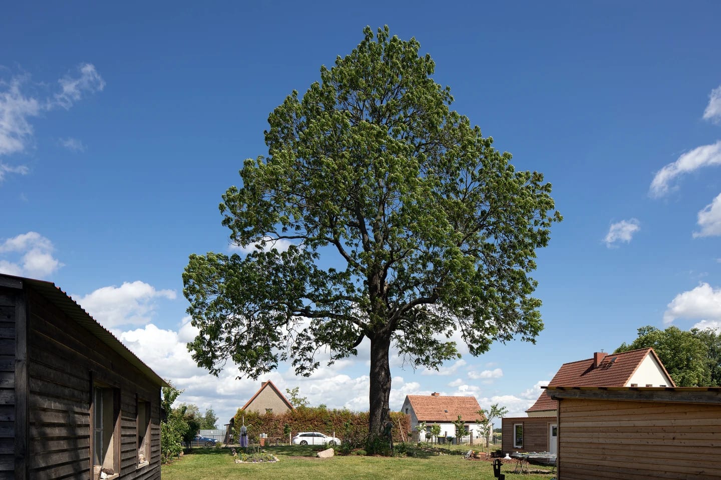 Zweigstelle brandenburg