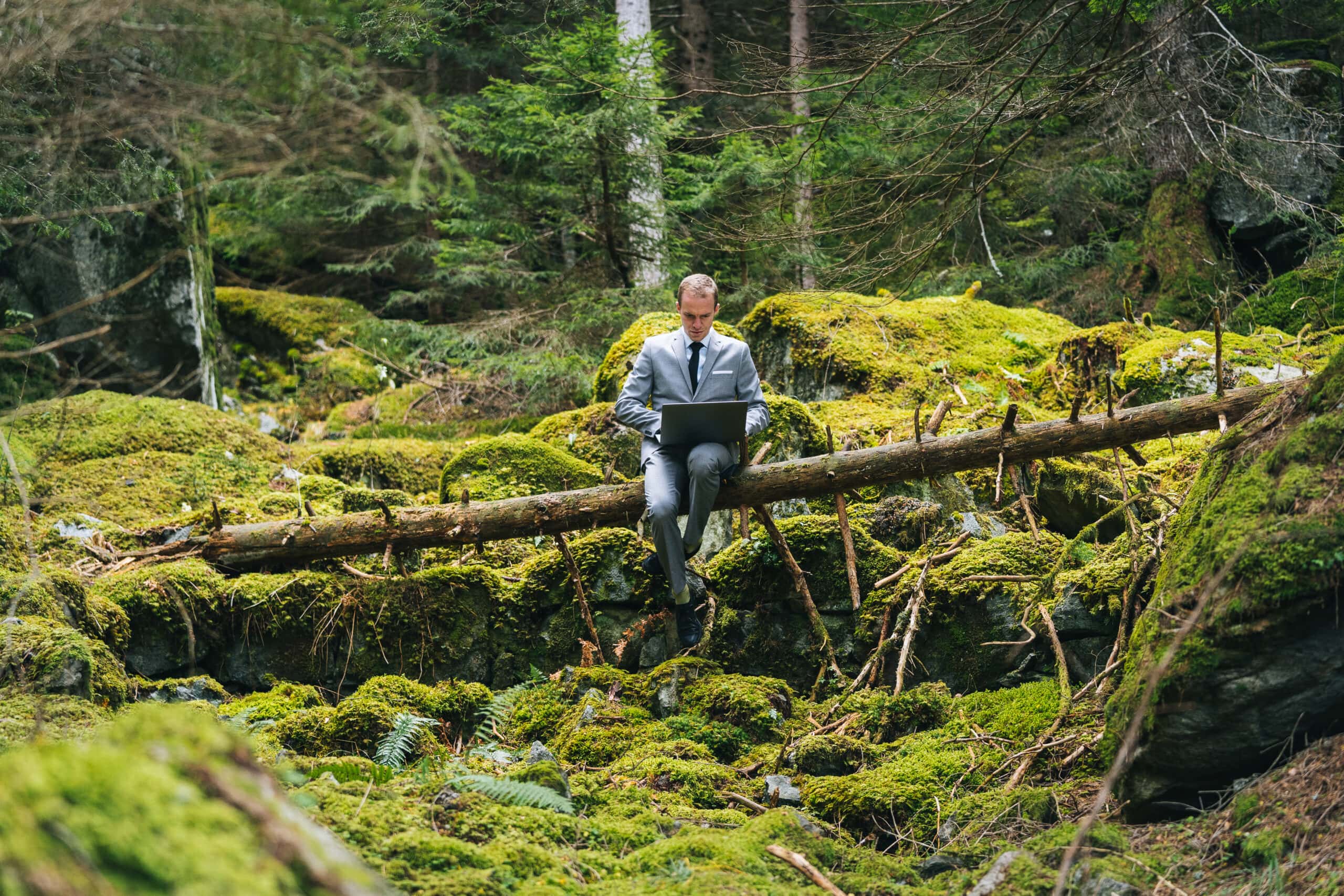 Business man works remotely in lush forest in the morning