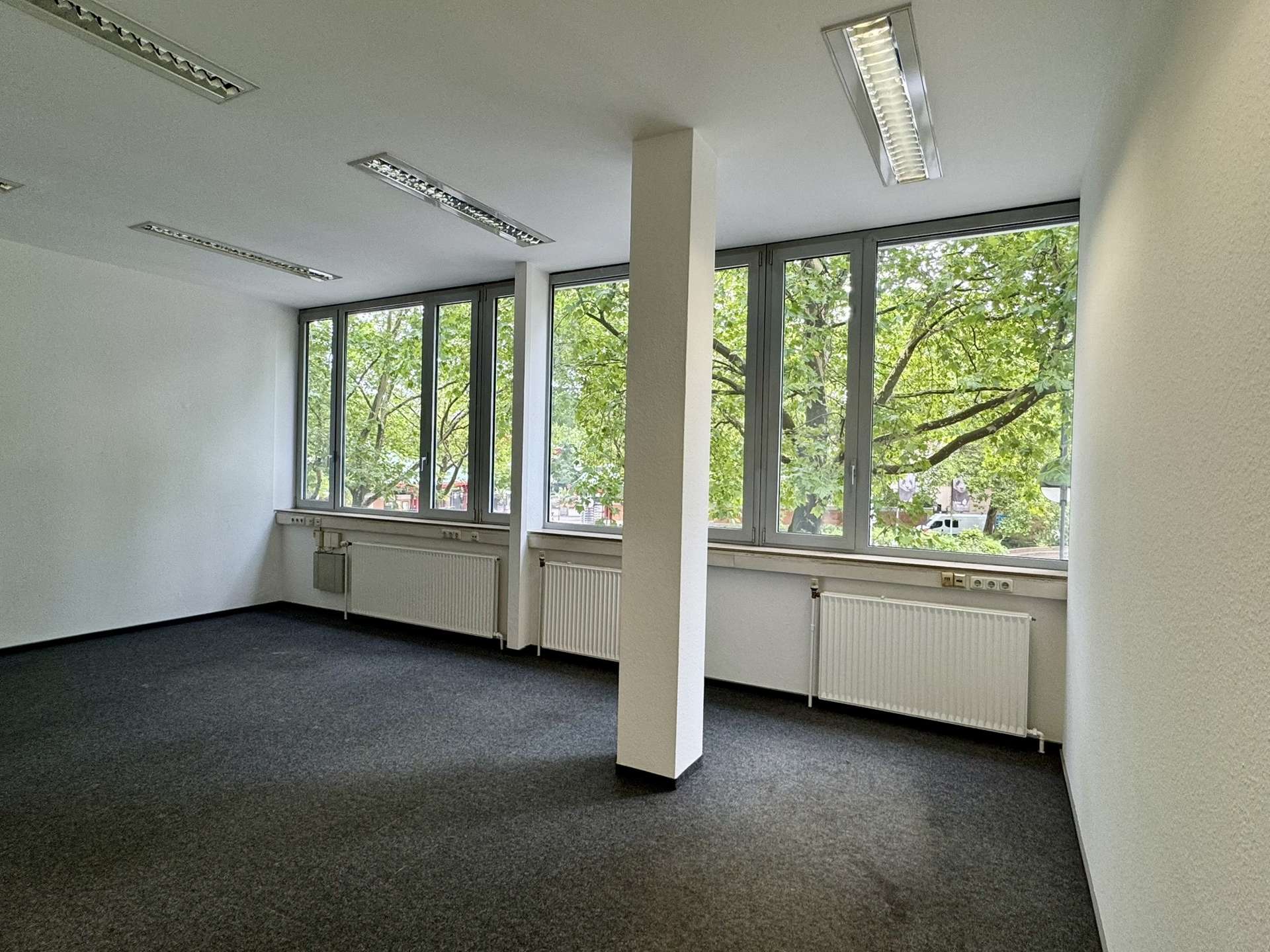 Bild - Arbeiten am Zoo